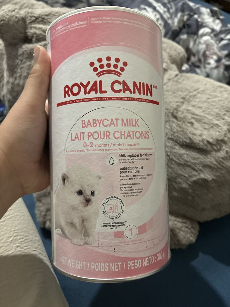 leite em po para gatos bebes royal canin