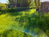 Koszenie trawy, ogrodów, działek ROD, trawników - usługi ogrodnicze
