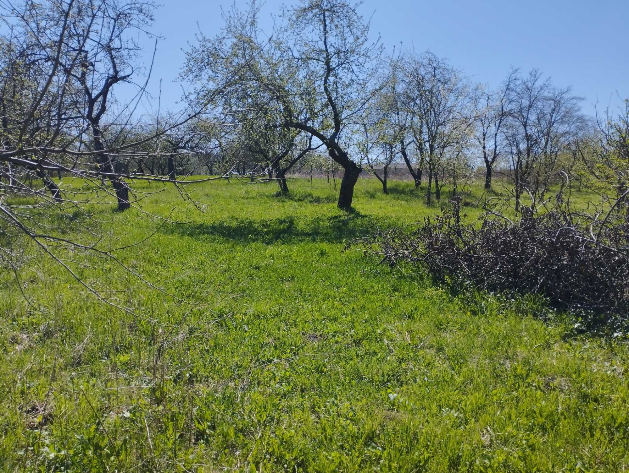 Продам будинок в с. Дашківці