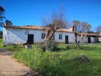 Oportunidade moradia T2 no campo - Freixianda