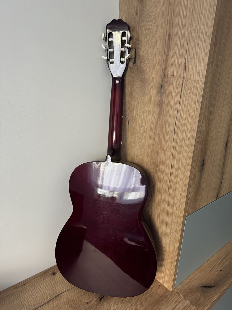 Gitara akustyczna Delfin