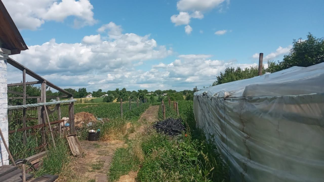 Продам будинок в селі Савинці,Київська область.