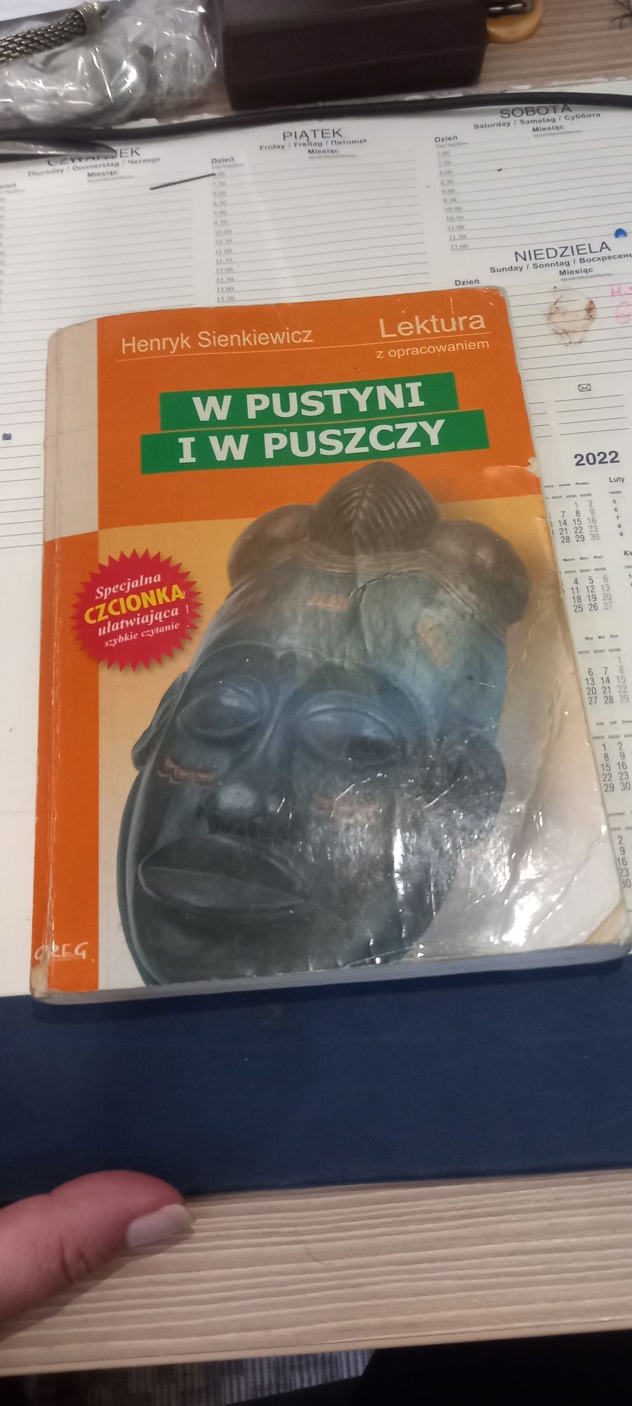 W pustyni i w puszczy lektura