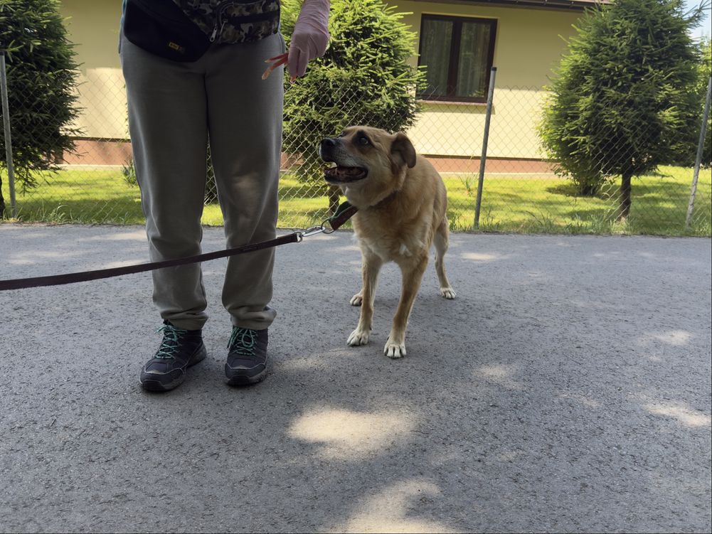 ORI ma dość bezdomności