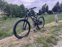 dartmoor blackbird 2021