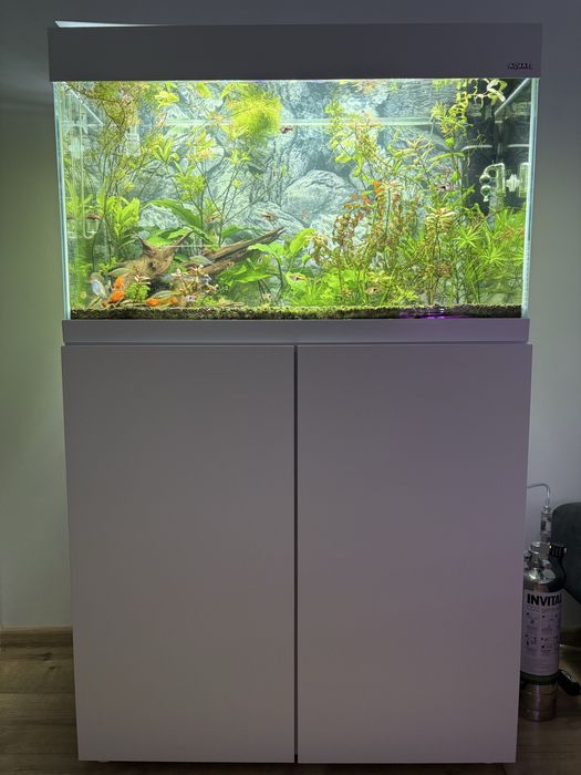 AQUAEL zestaw akwarium  + szafka OPTISET 125 Biały