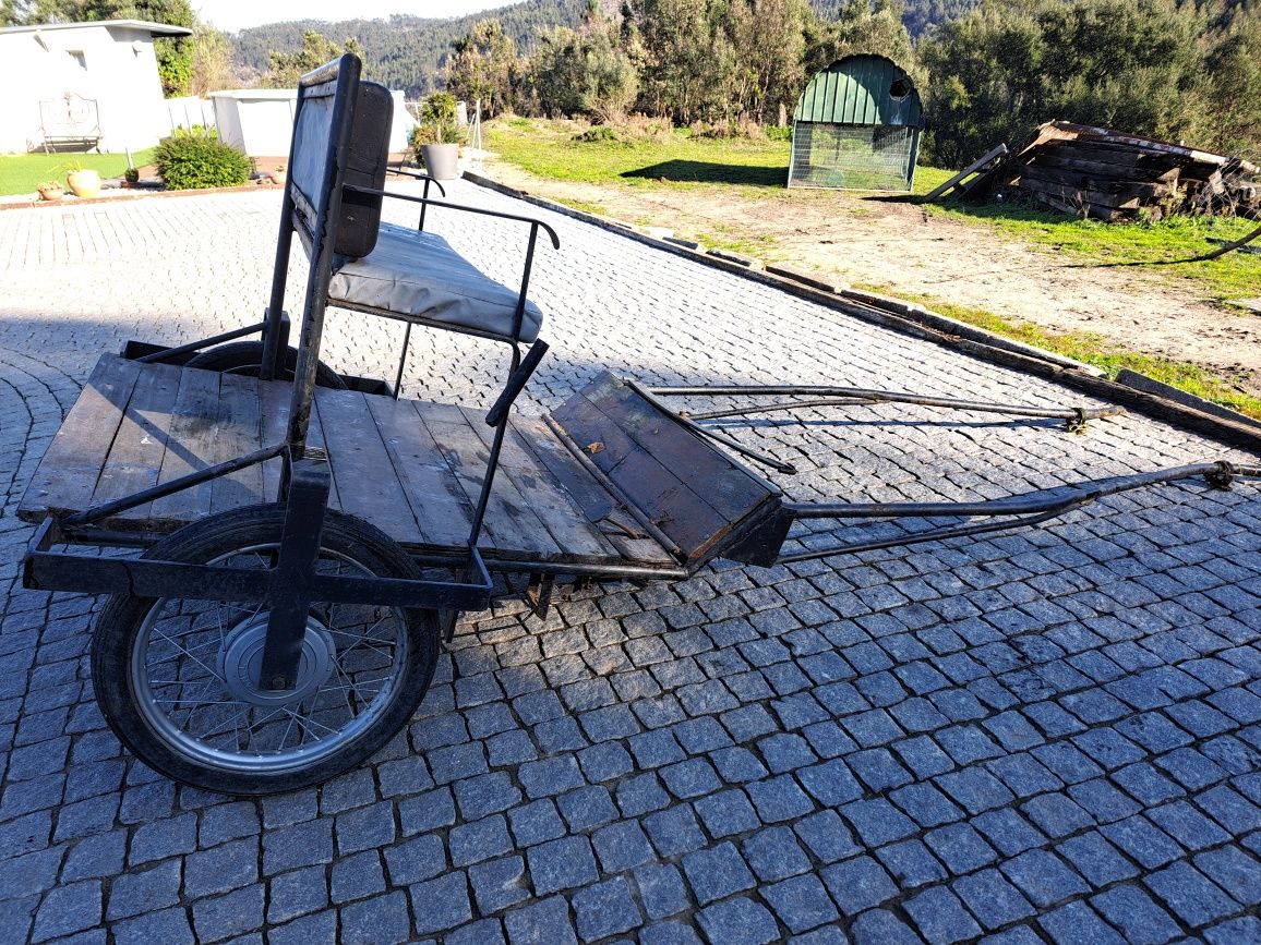 Carroça boa para ensinar cavalos