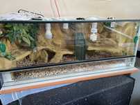 Terrarium 100x40x40