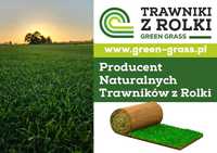 Trawniki z rolki Green Grass/ Trawa plantacja/ Producent