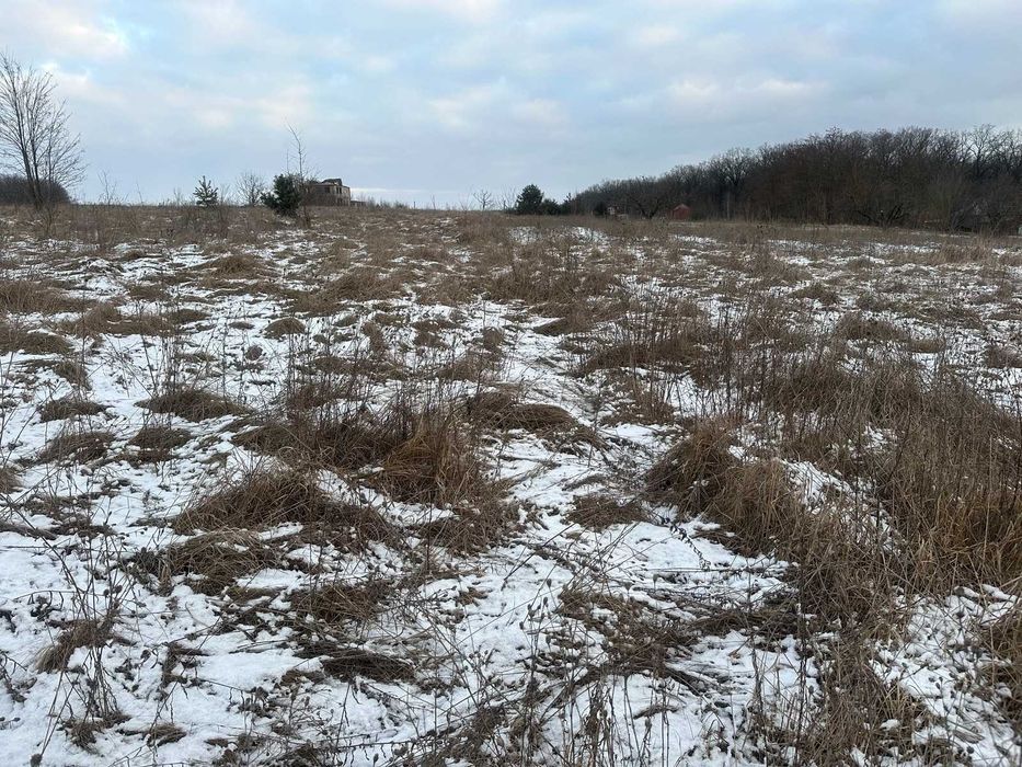 Продається земельна ділянка в Селищі