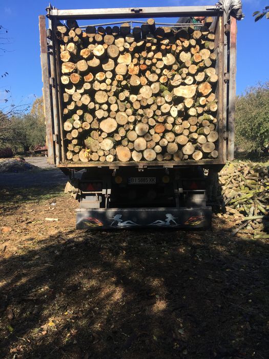 Продам дрова різних порід.