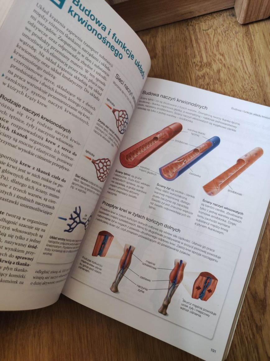 Biologia na czasie 2 zakres rozszerzony