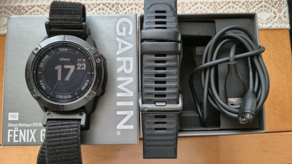 Garmin Fenix 6x pro