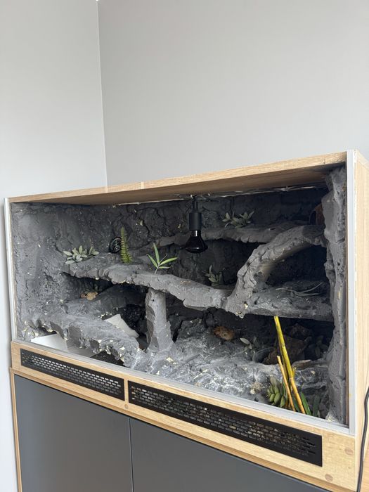 Terrarium 120x60x60!! + gekon lamparci!! Wyposażone!!