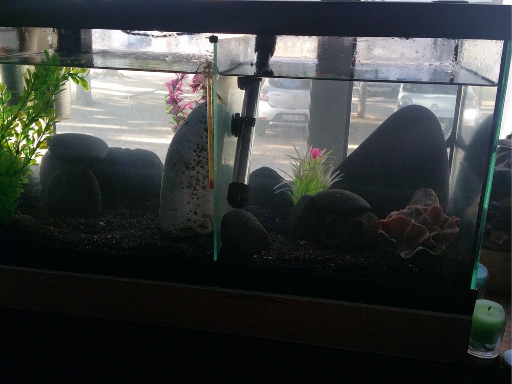 Vendo 3 aquarios e acessórios