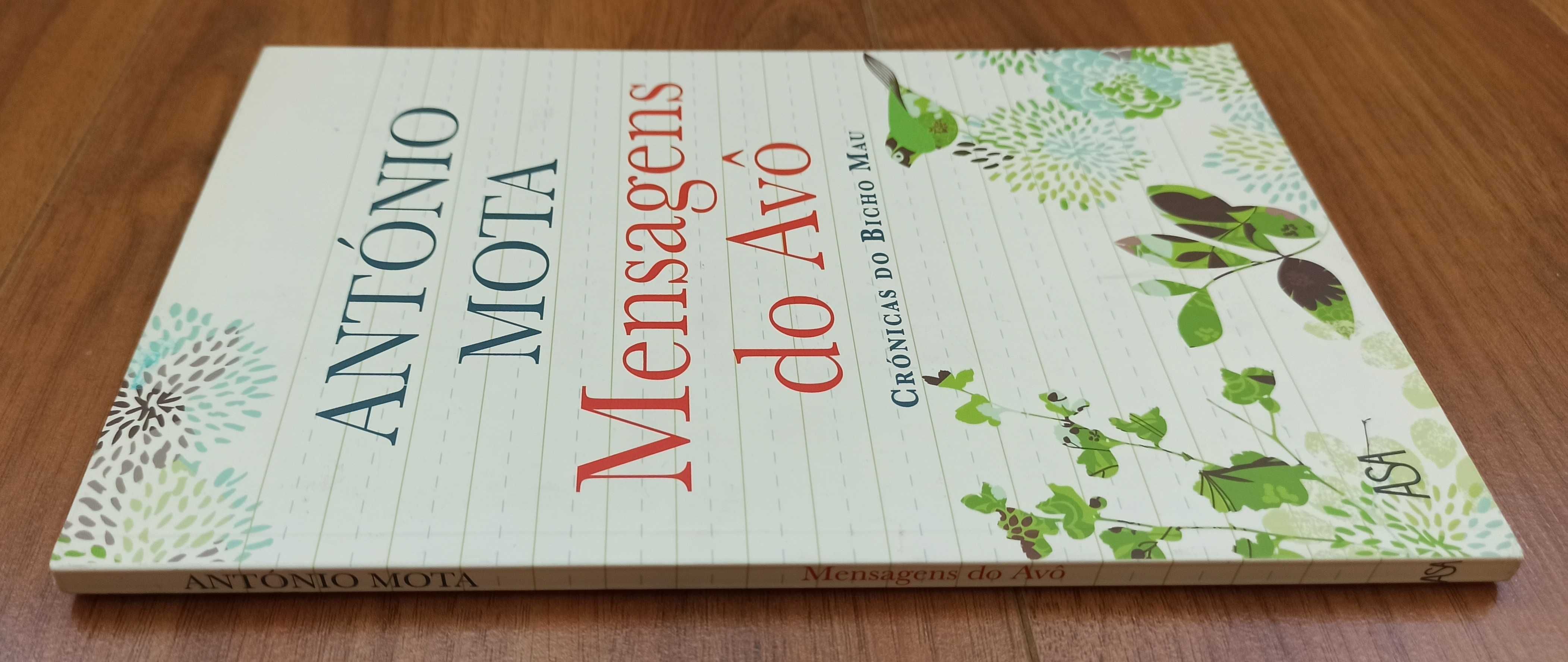 Livro Mensagens do Avo - Crónicas do Bicho Mau de António Mota