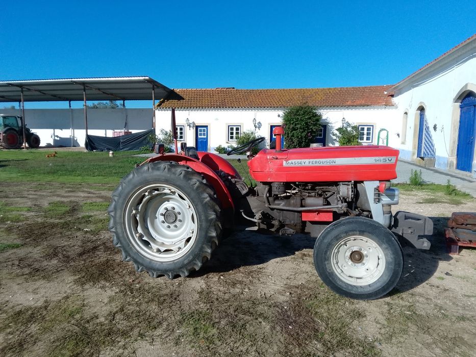 Massey Ferguson 145 vinhateiro