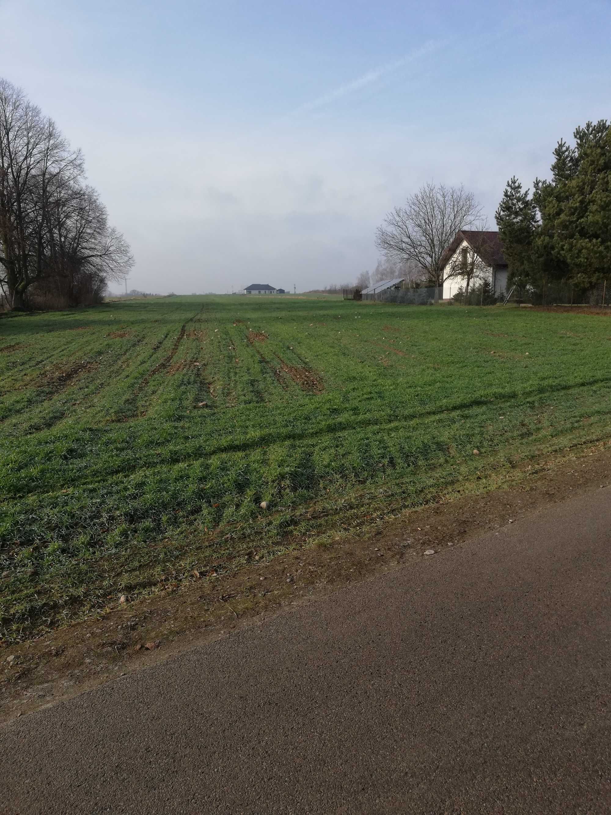 Sprzedam działki budowlane w Borkowie Kościelnym