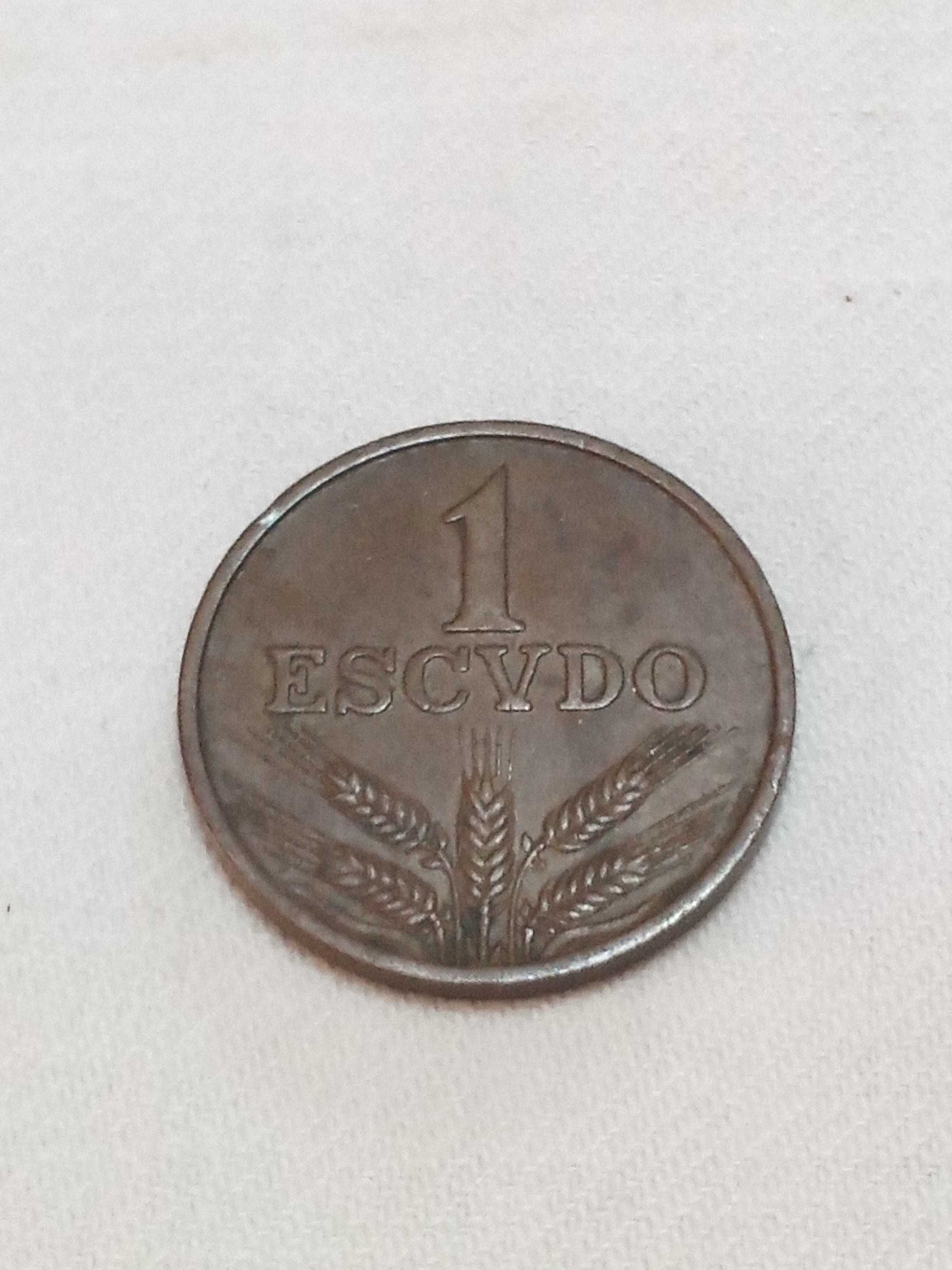 Coleção de moedas antigas