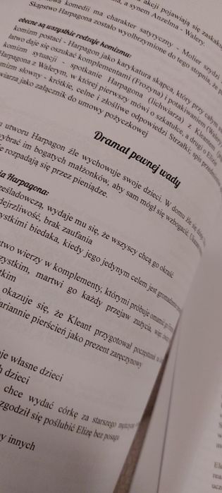 Sprzedam komplet notatek do matury z języka polskiego – PDF