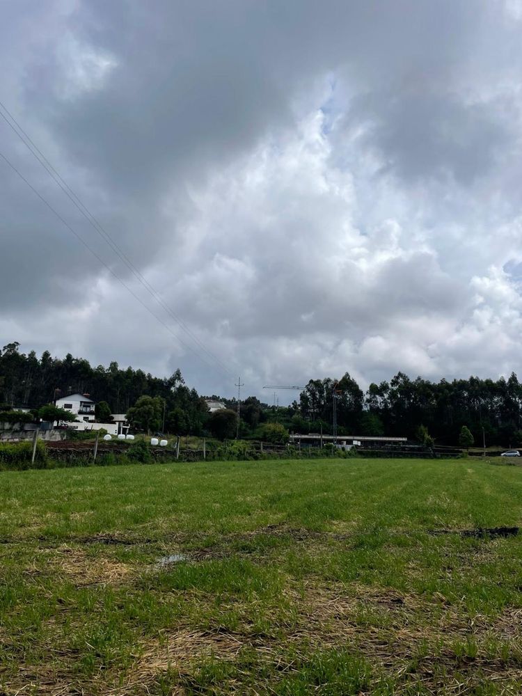 Terreno - Ribeirão