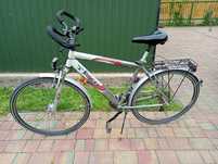 Rower trekkingowy TEXCO M/L męski Shimano