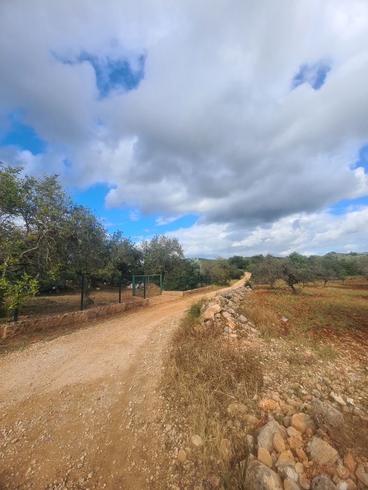 Vendo terreno agrícola