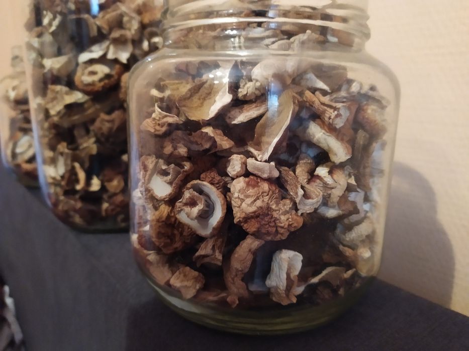 Grzyby suszone prawdziwek borowik podgrzybek