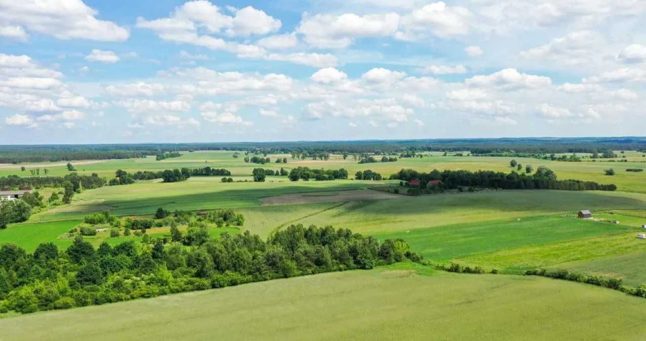Domek wakacyjny w Radgoszczy, Kraina 100 jezior, Puszcza Notecka