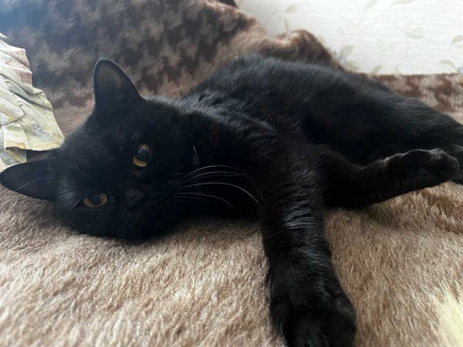 Кицька для в'язки