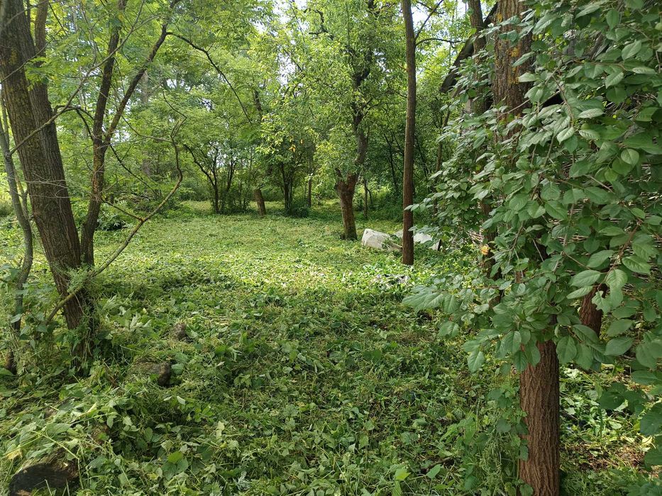 Sprzedam działka Wełnin 44ary