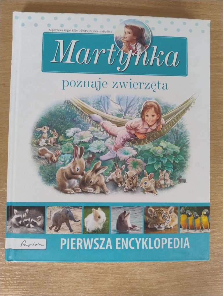 Książka dla dzieci Martynka