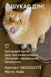 Рудік шукає родину