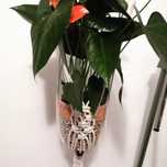 Suportes para plantas