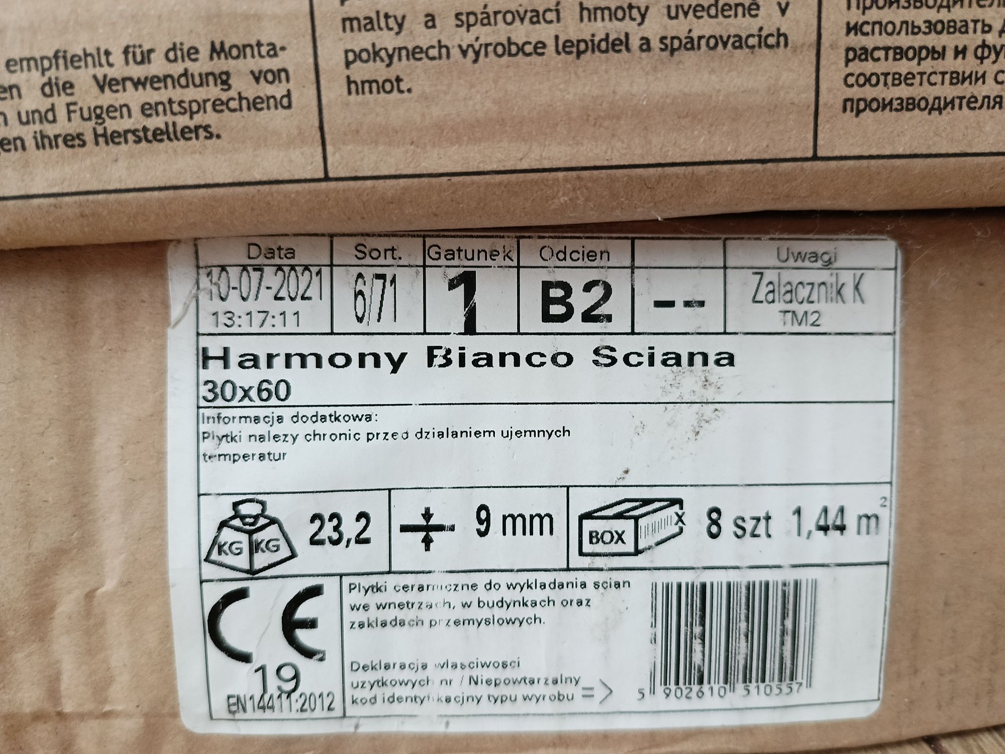 Paradyż HARMONY BIANCO Płytka Ścienna MAT 30x60 GAT.1