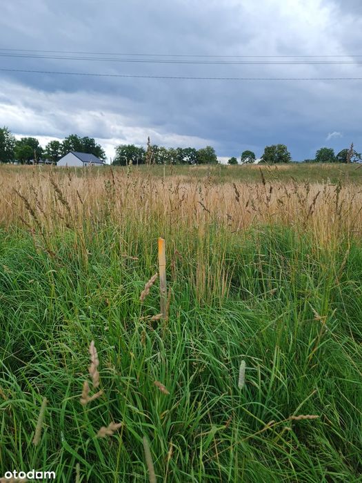 Działka w miejscowości Gniazdowo 1102 m2