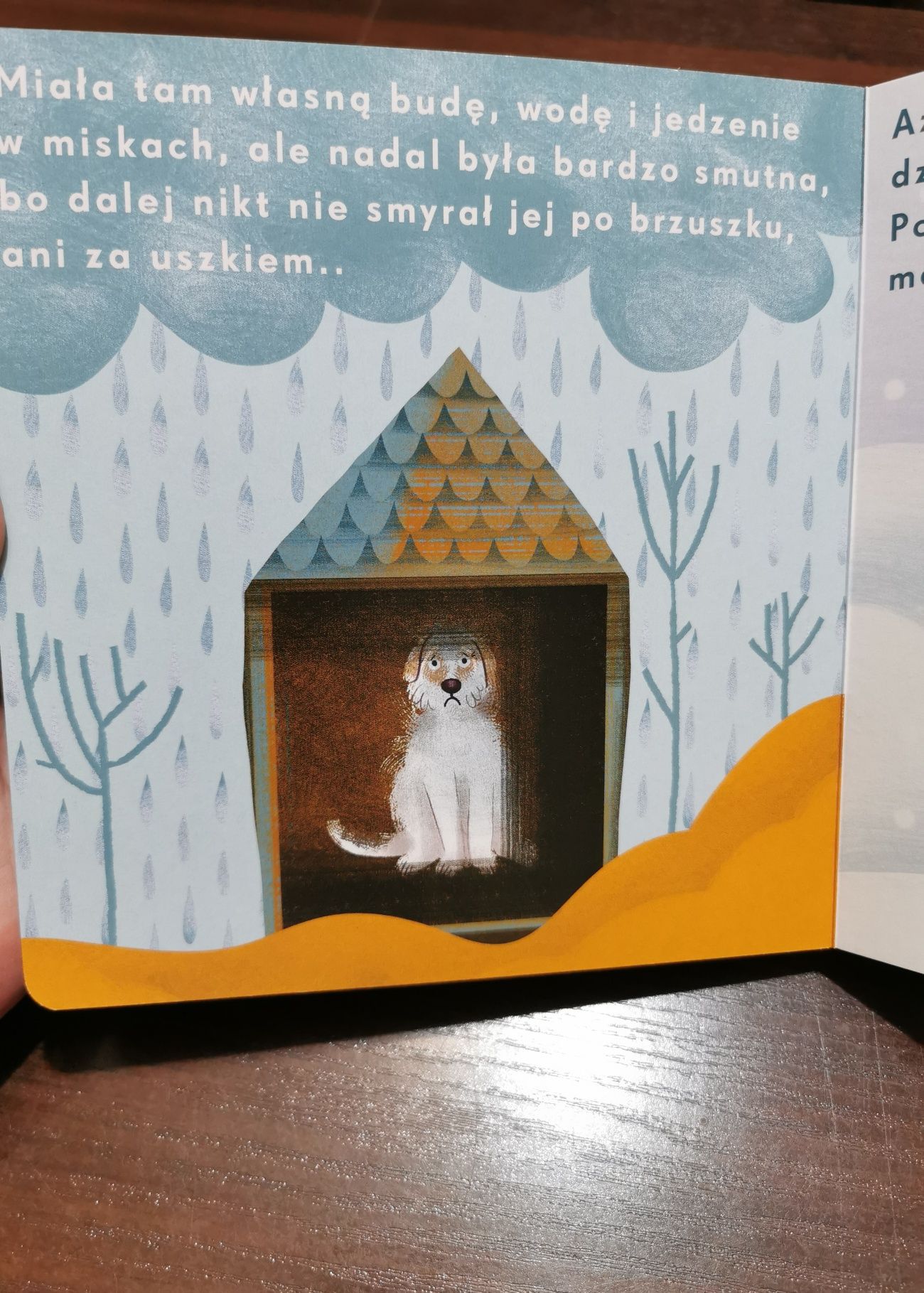Wiesia historia zebrana do kupy Zofia Zborowska Wrona książka nowa