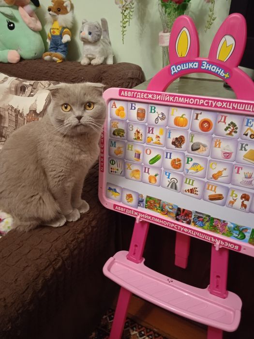 За пів ціни!мольберт,малюємо,граємо,вчимо абетку українською!!