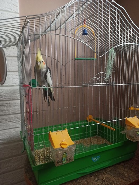 Клітка для попугая. 1400грн.