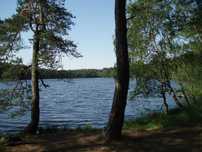 Działka budowlana 3000m2, nad morzem, morze/jeziora/las, Łeba 8km