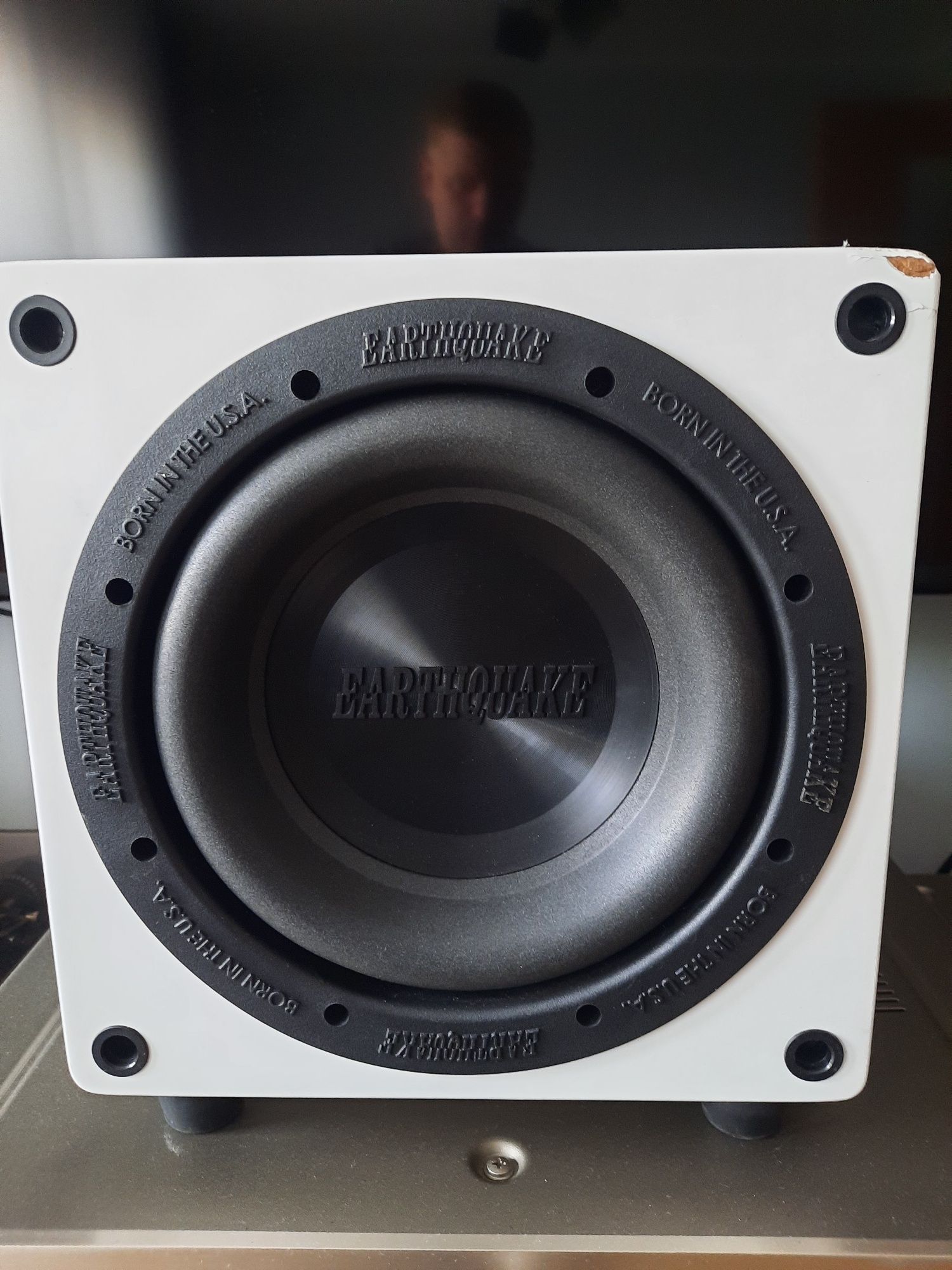 Subwoofer Earthquake MiniMe (Rel,Velodyne,SVS)