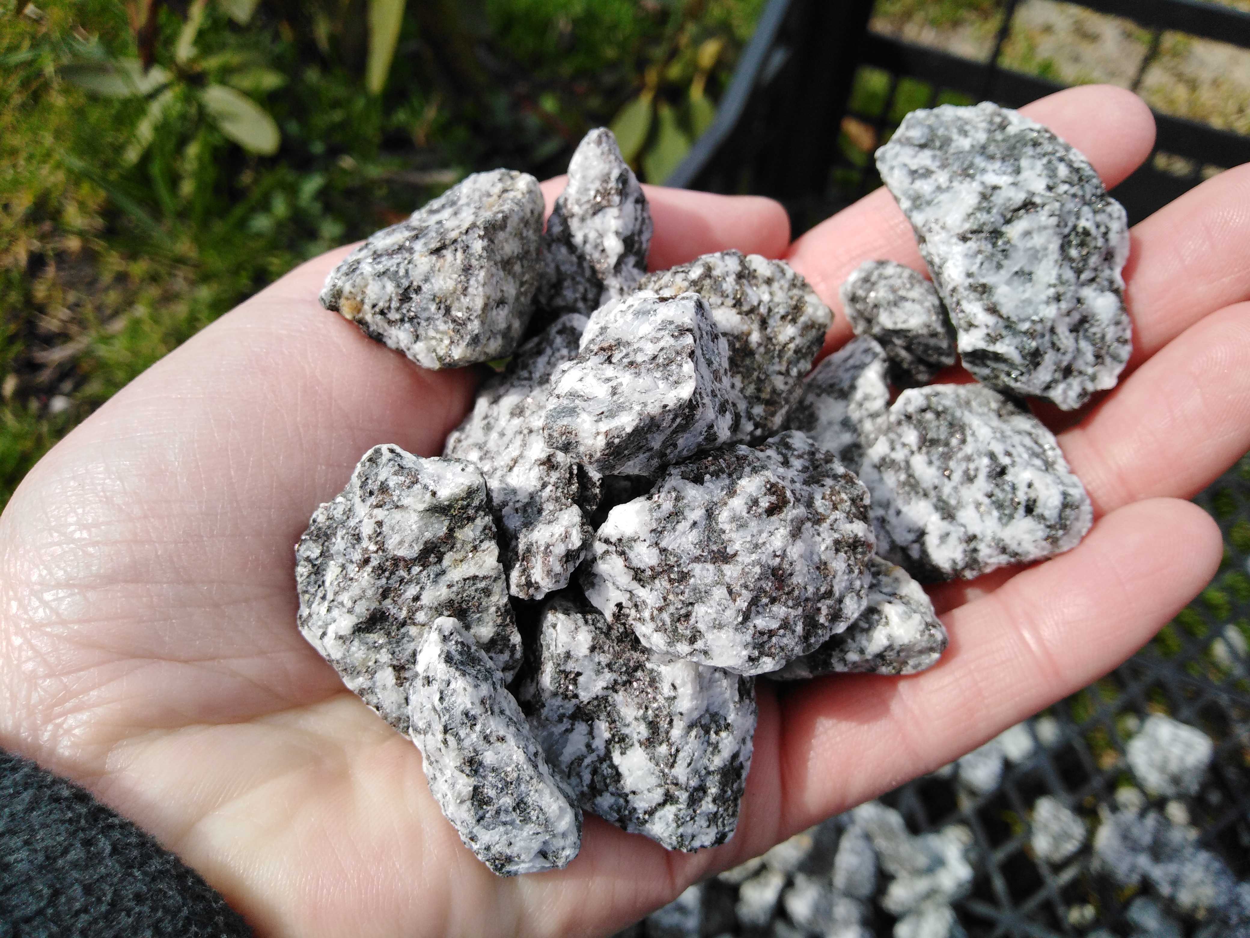 Granodioryt 16-22 kruszywo granodiorytowe sjenit grys sjenitowy granit