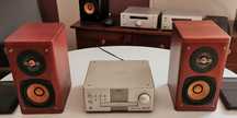 JVC EX-A5 Wood Cone, 2x 100 Wat,  HiFi