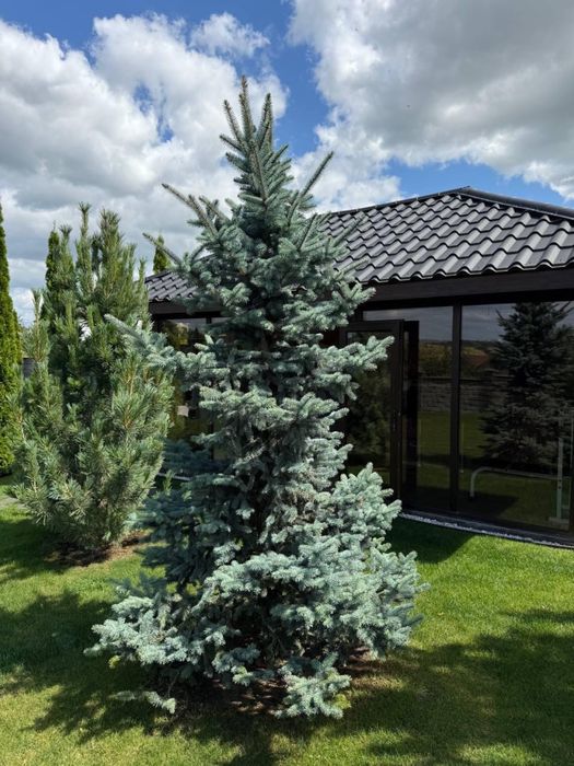 Будинок американка