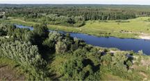 Продаж 34 сотки. Вихід до річки Золоче . Вишеньки, поруч ЛІС!
