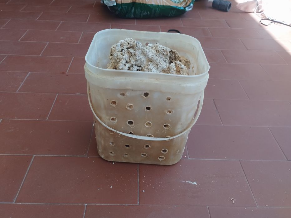 Material diverso aquário reff água salgada