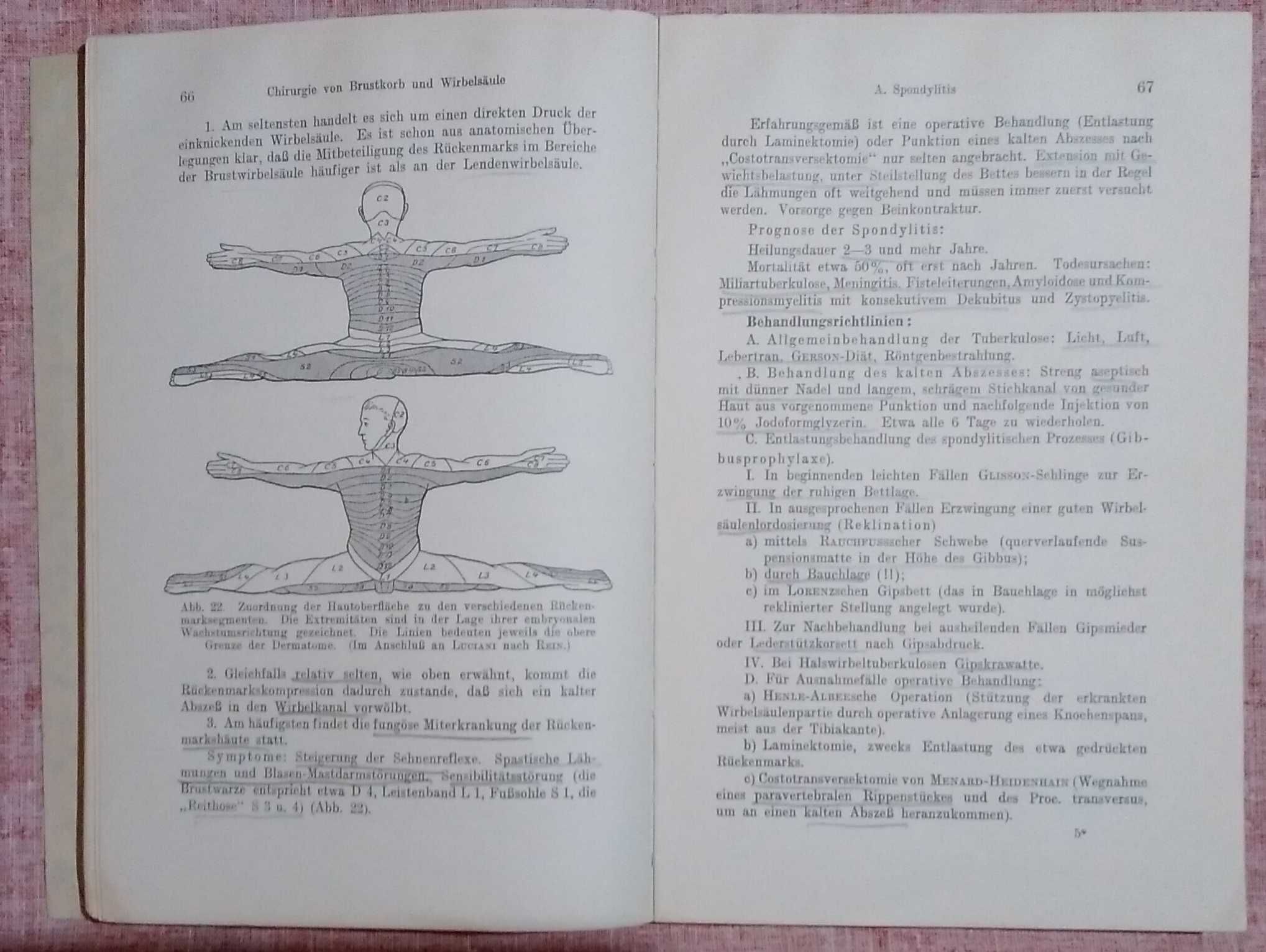 Podręcznik niemiecki do studiowania chirurgii 1939 prof Orator unikat