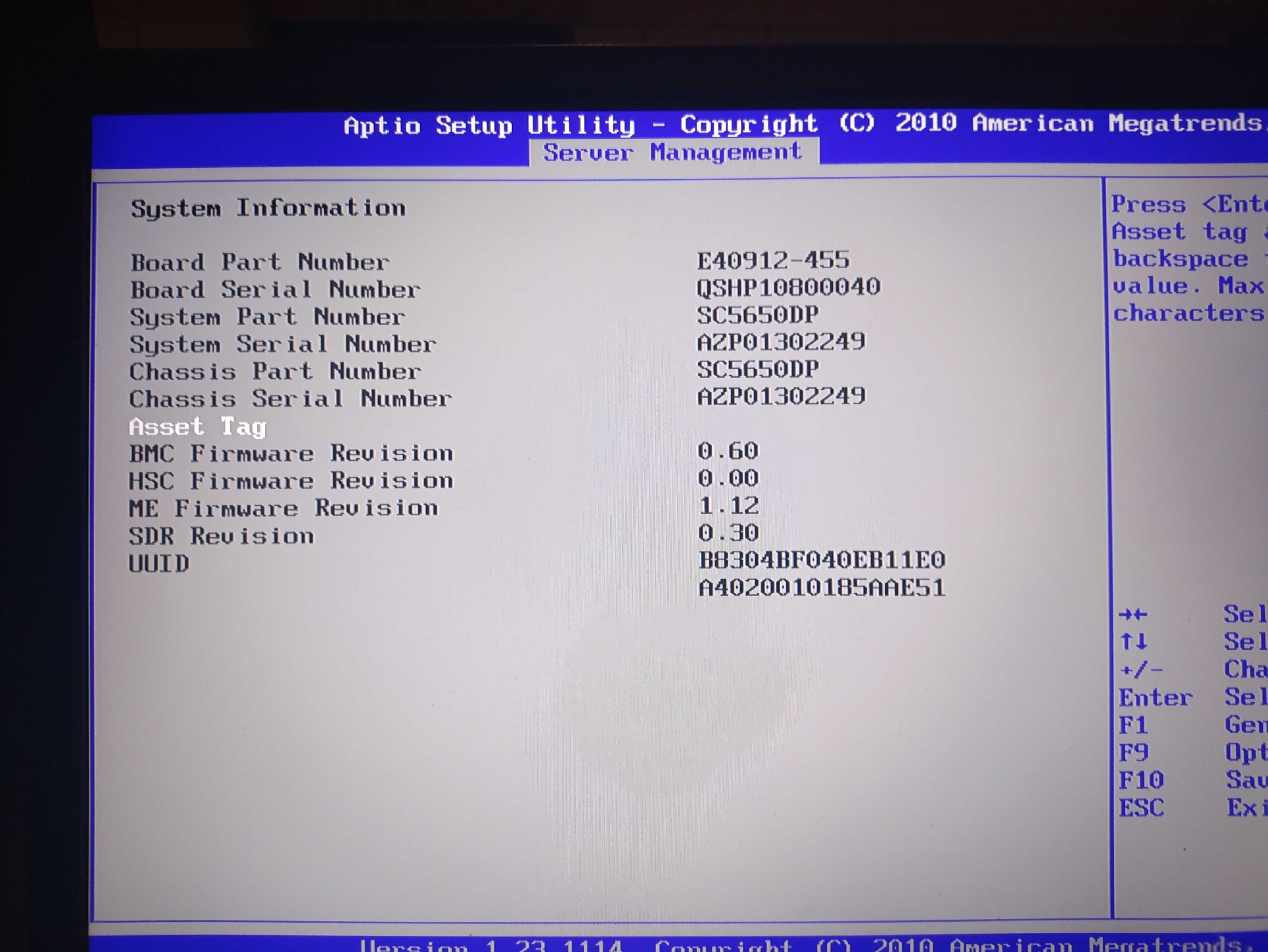 Server IBM S5500HCV
