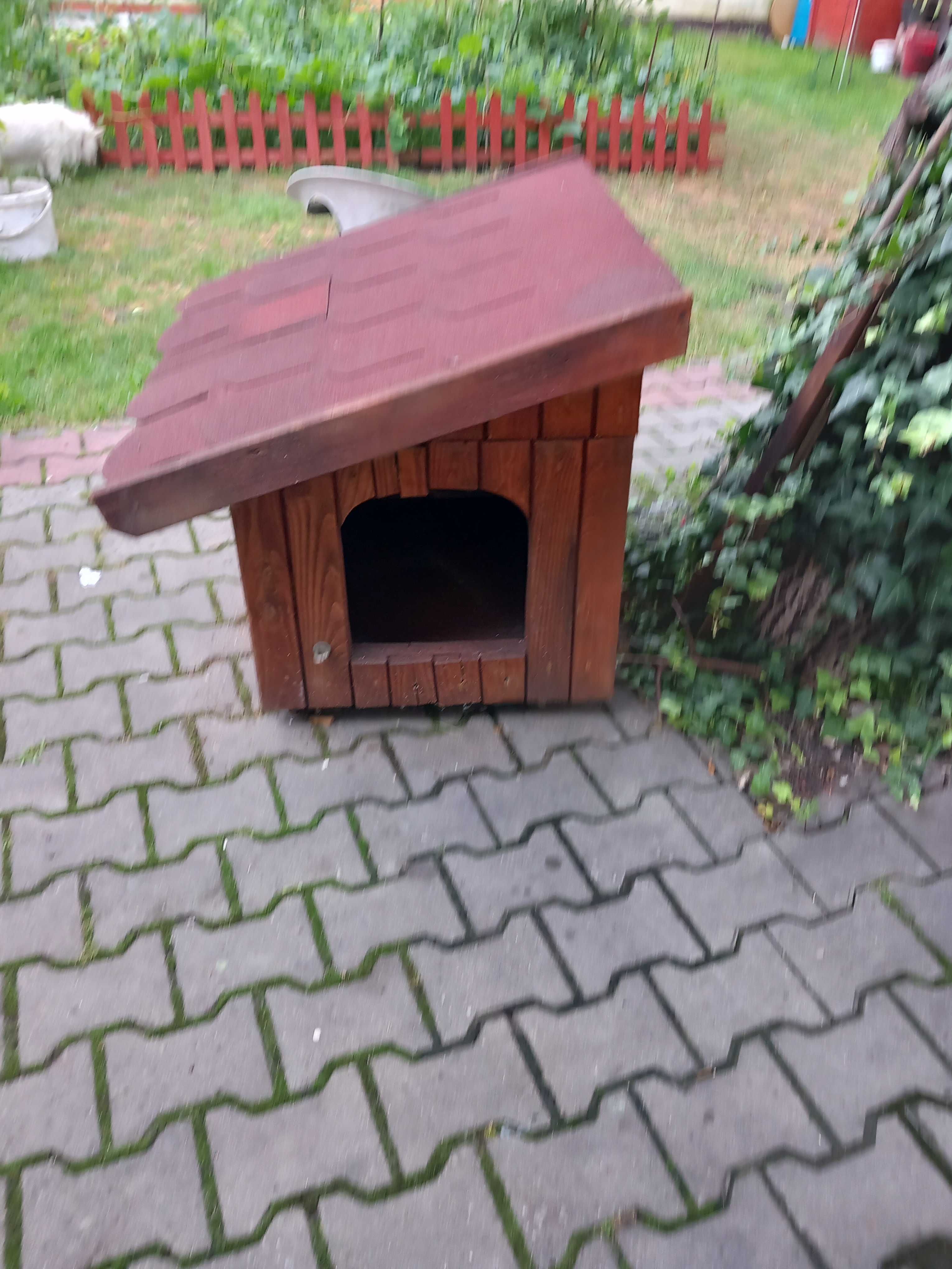 Buda jednospadowa dla psa