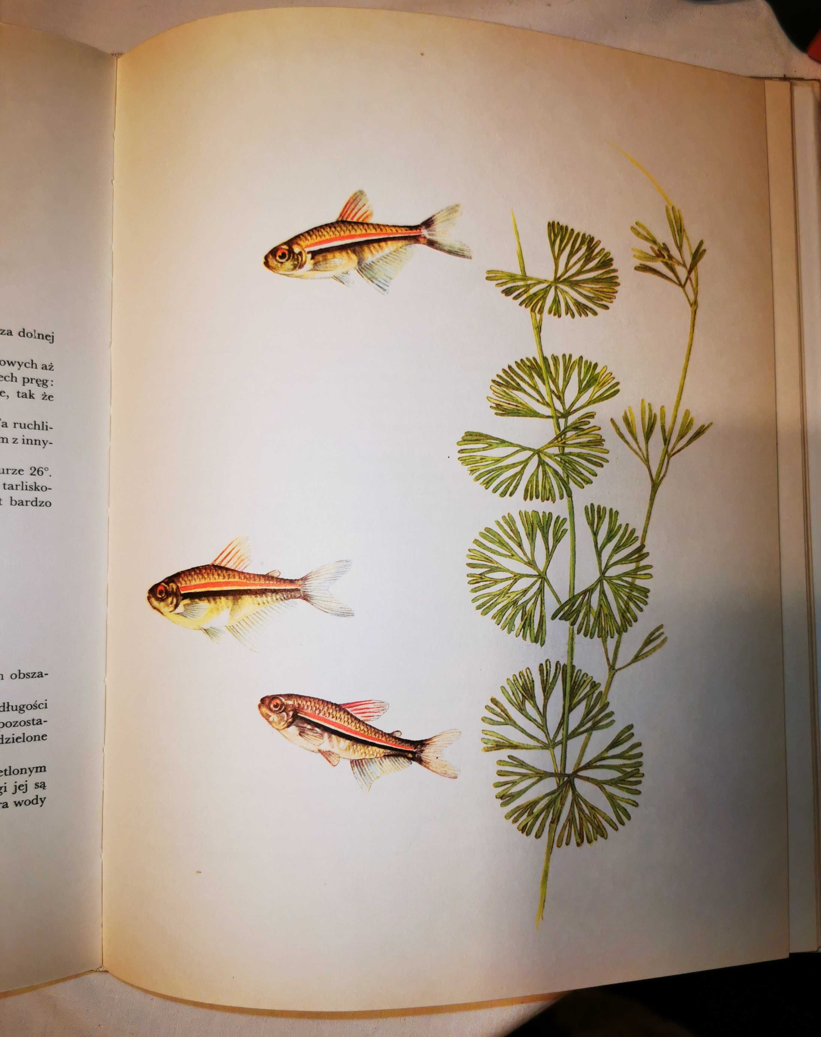 "Ryby i rośliny akwariowe" Zukal i Rataj  1973